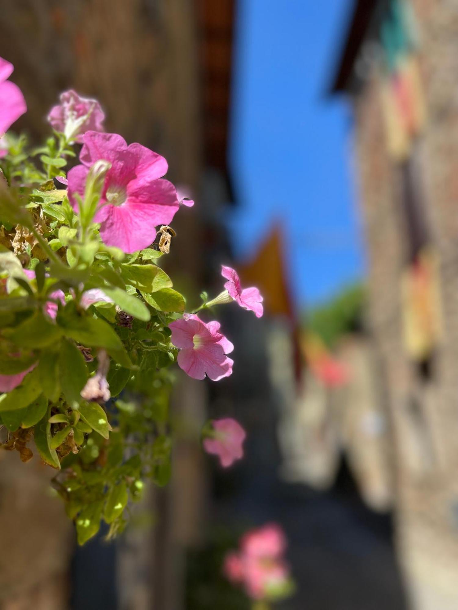 הוילה Ambra La Casa In Castello מראה חיצוני תמונה
